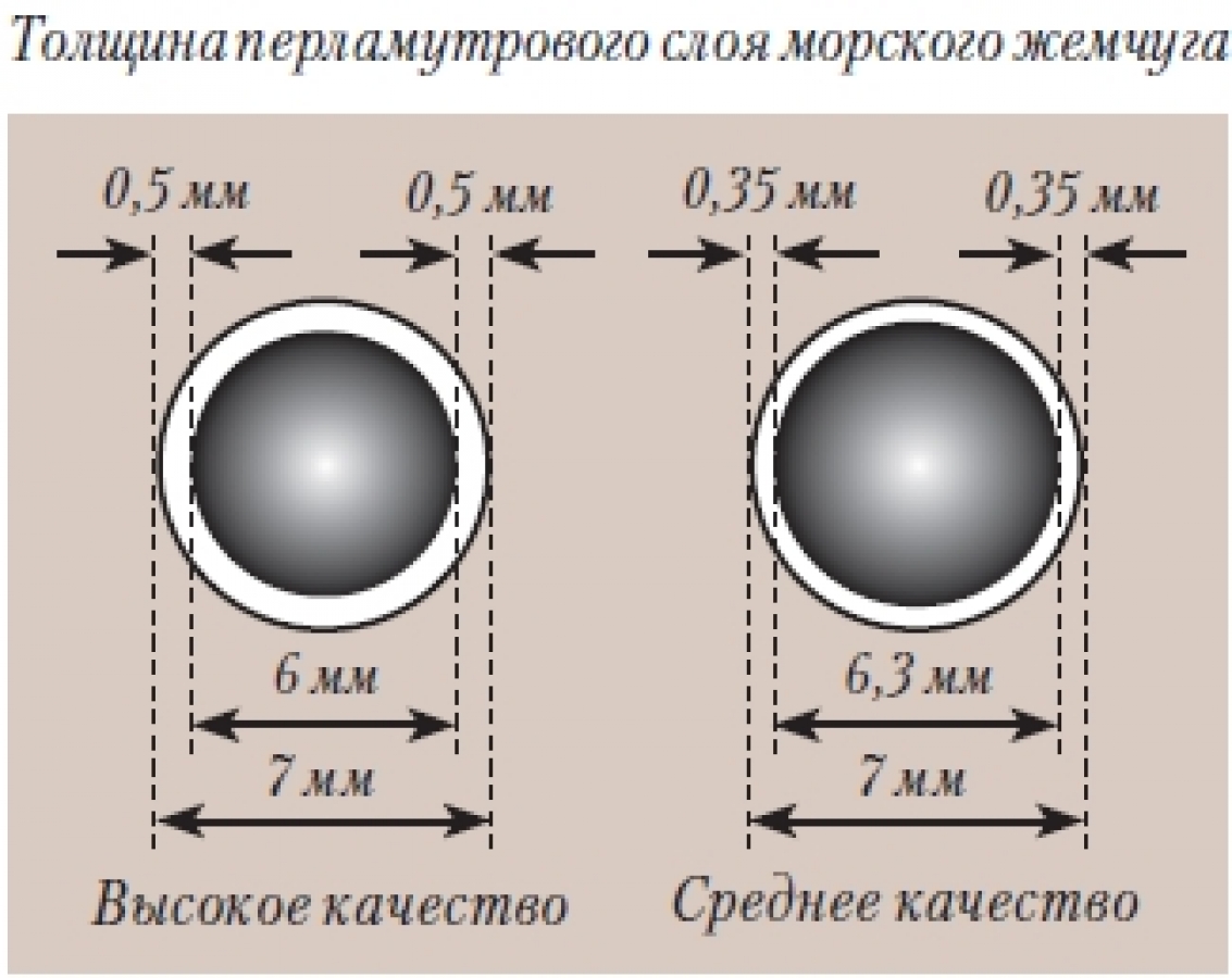 kalibr msk ru