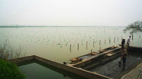 КНР добыча жемчуга фото 1