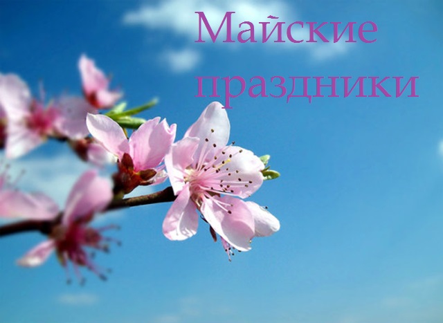 Картинки майские праздники выходные